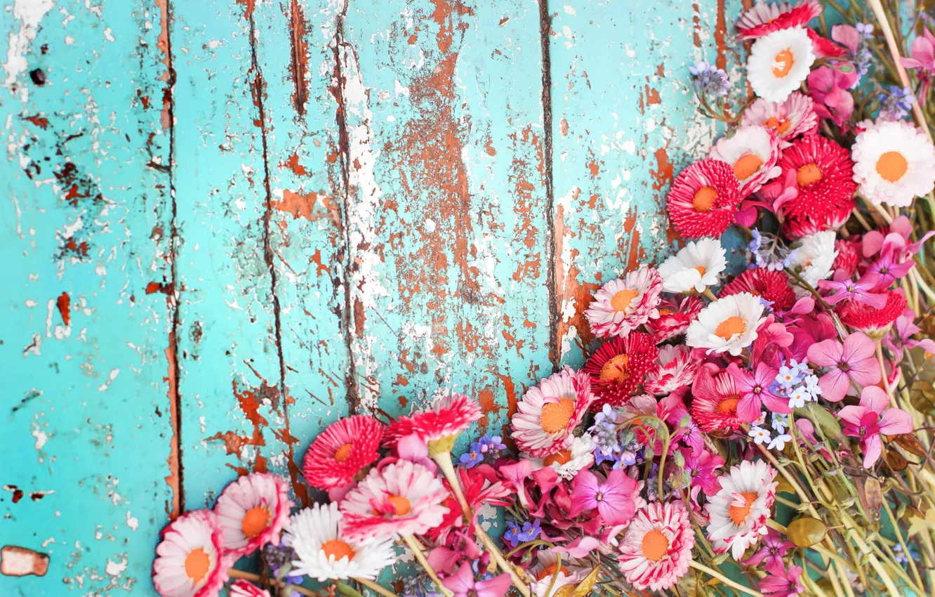Photo wallpaper flowers, background, Board, chrysanthemum