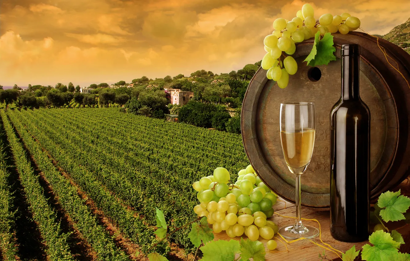 Photo wallpaper leaves, wine, white, glass, bottle, grapes, barrel, the vineyards