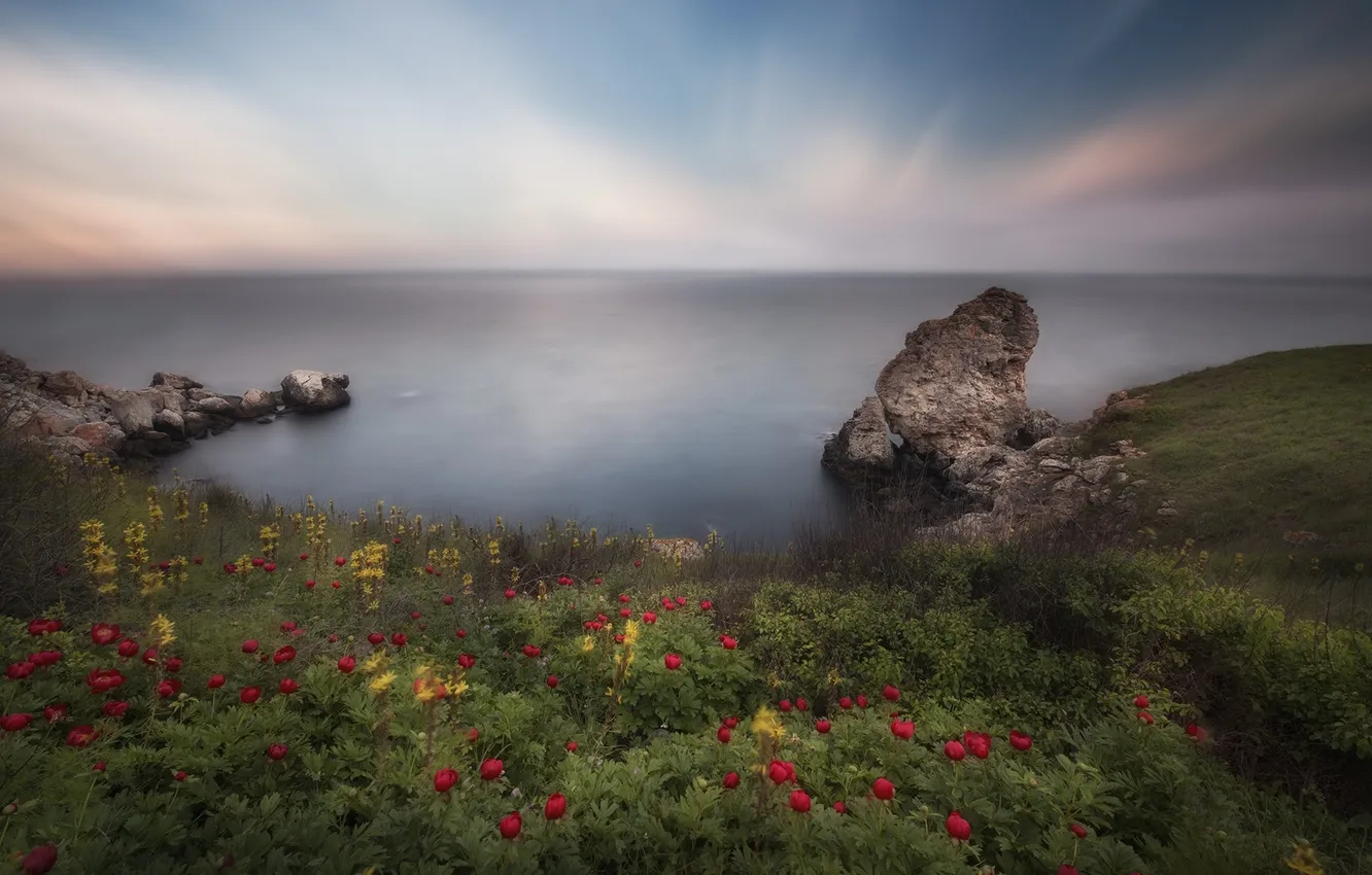 Photo wallpaper sea, landscape, flowers, rocks, beauty