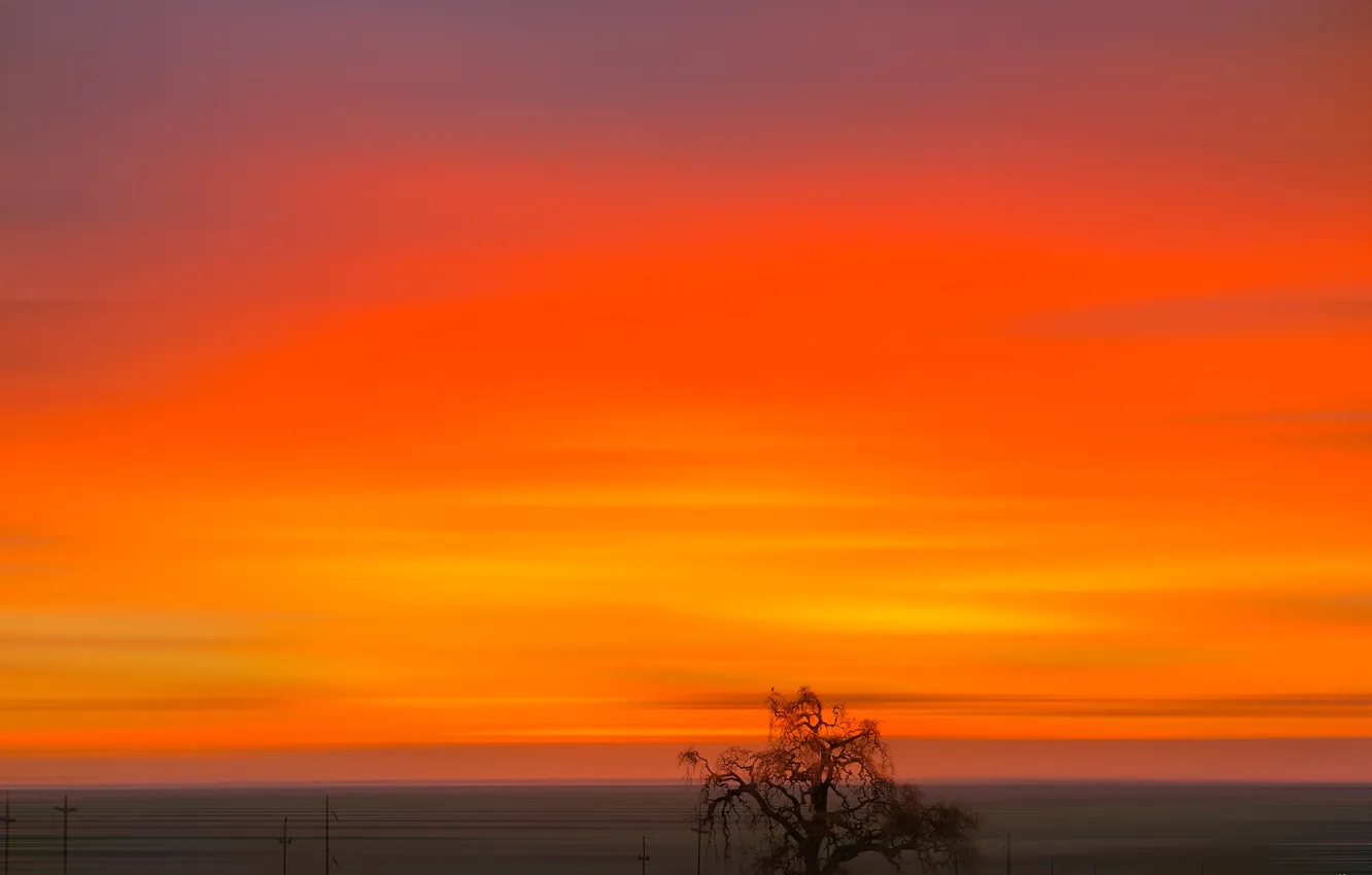 Photo wallpaper the sky, clouds, trees, dal, glow