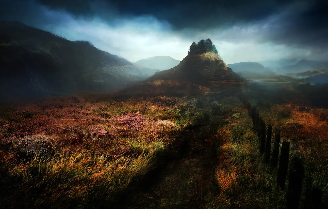 Photo wallpaper road, autumn, grass, trees, landscape, clouds, overcast, hills