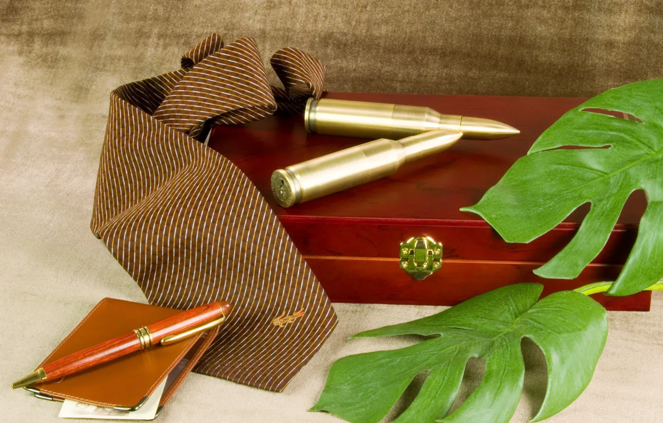 Photo wallpaper handle, tie, box, cartridges, background., wallet