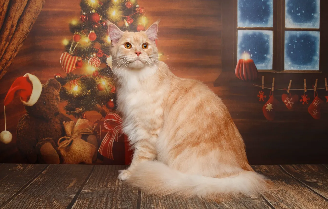 Photo wallpaper cat, cat, red, New year, tree, cat, Maine Coon, Natalia Lays