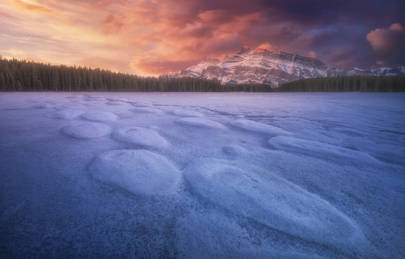 Photo wallpaper ice, winter, snow, lake, shore