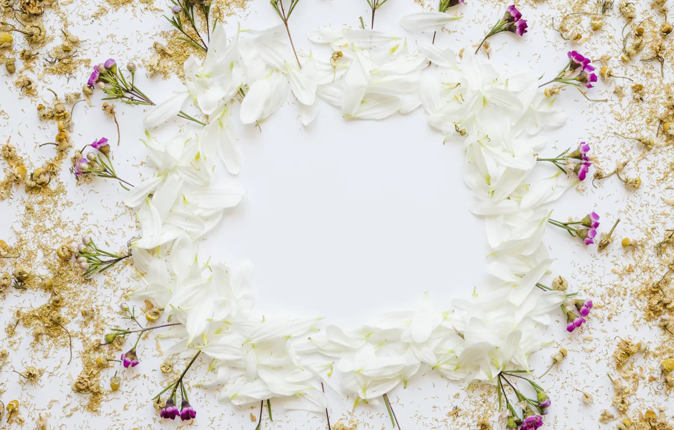 Photo wallpaper flowers, petals, white, flowers, decor, decoration, border