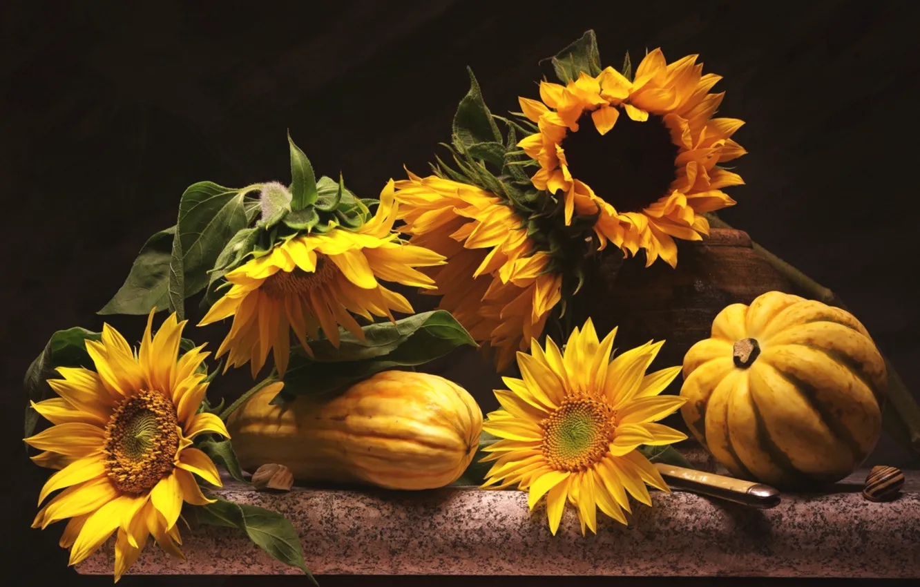 Photo wallpaper sunflowers, yellow, pumpkin