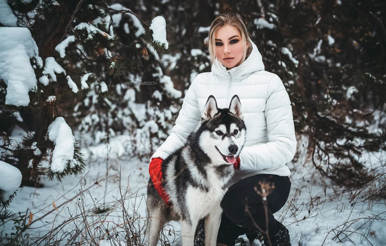 Photo wallpaper winter, look, girl, snow, pose, dog, jacket, husky