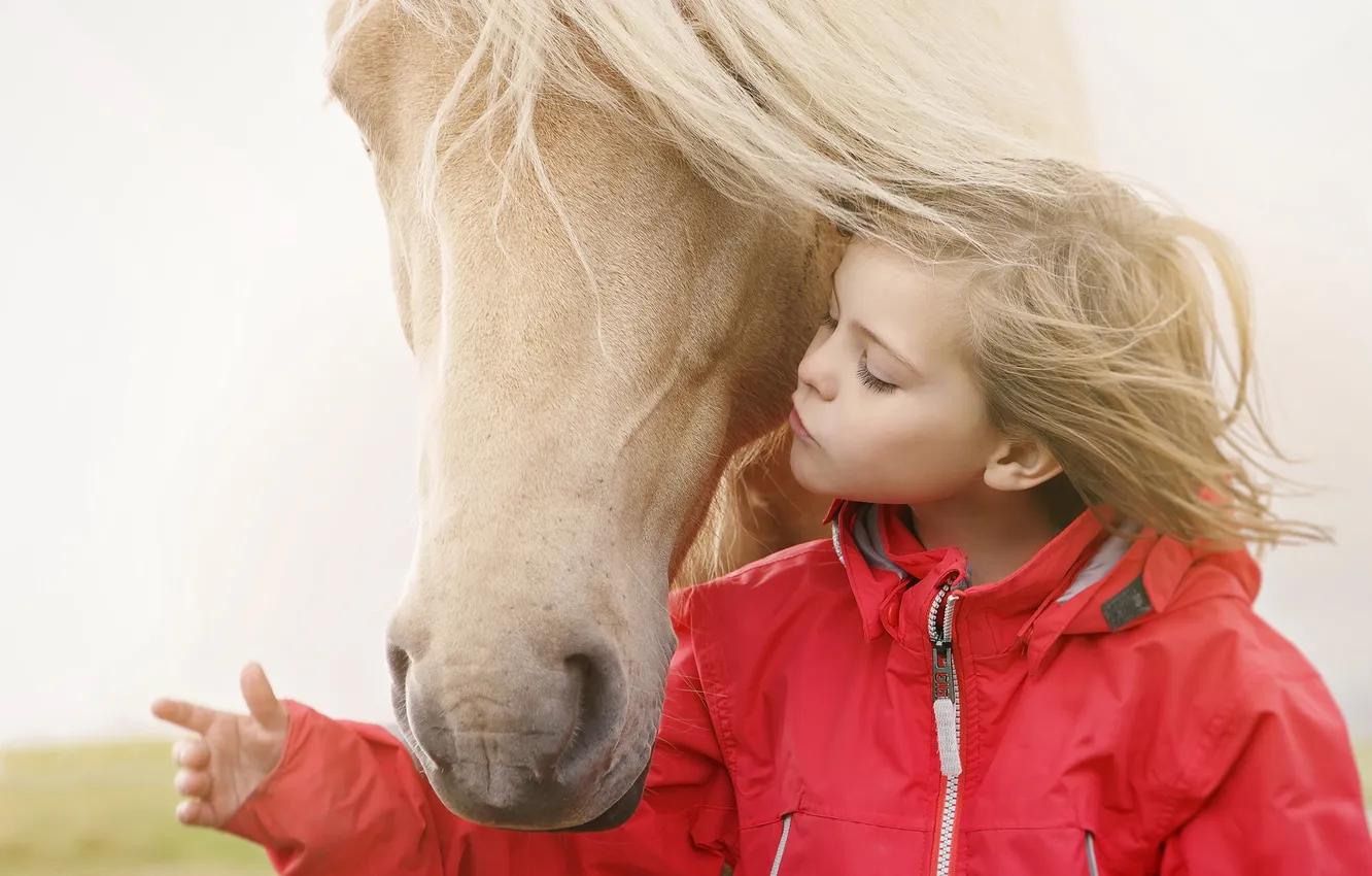 Photo wallpaper mood, horse, girl