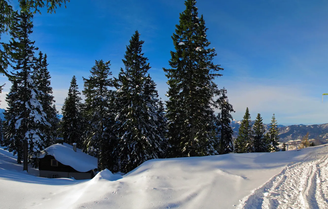 Photo wallpaper winter, forest, the sky, snow, trees, home, spruce