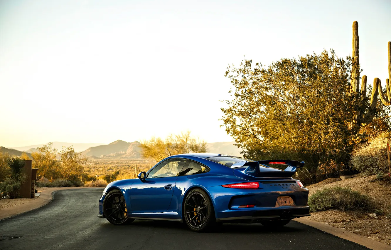Photo wallpaper blue, Porsche, back, car, metallic, Black Edition, 2013, Gemballa Mirage