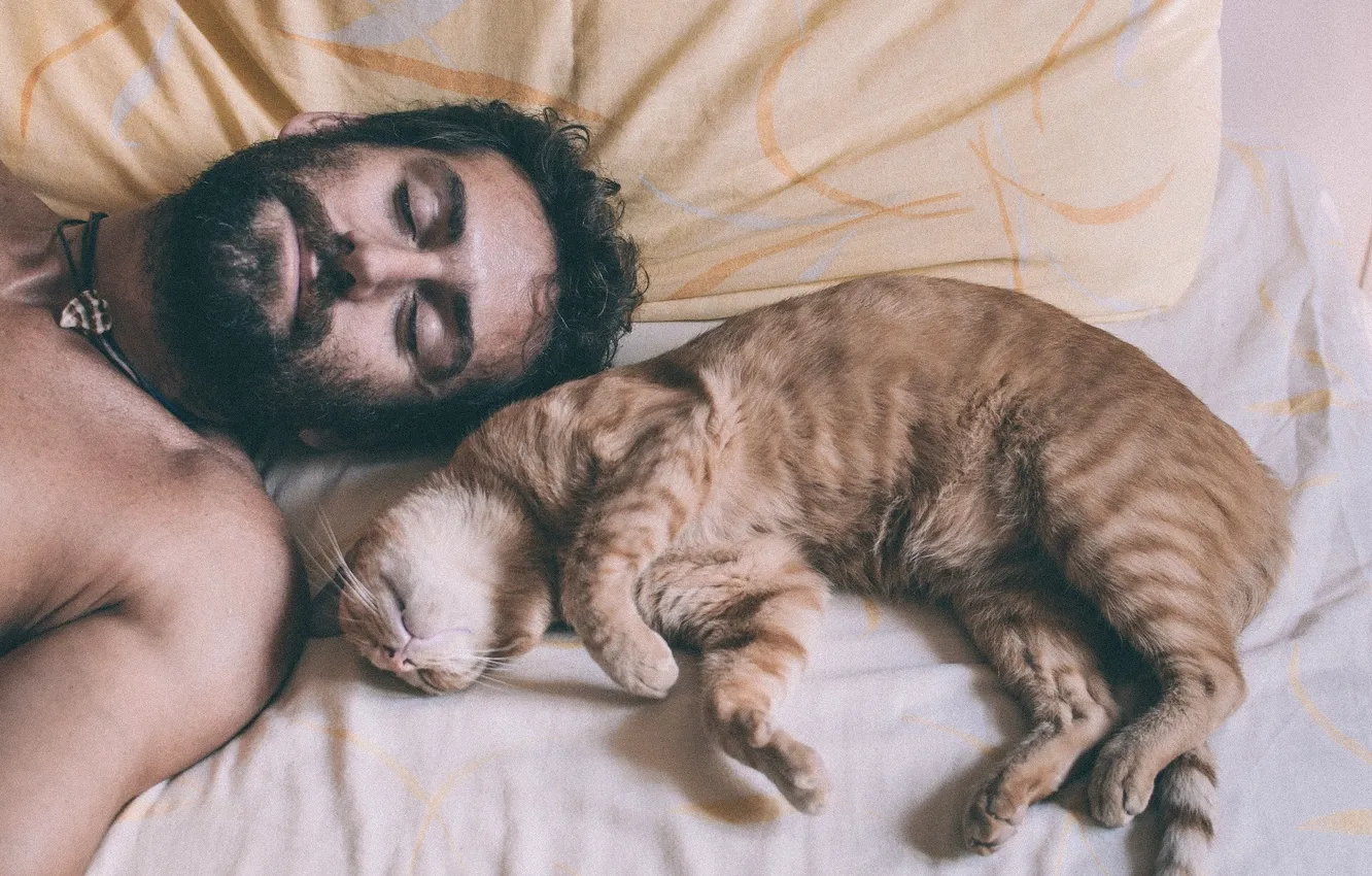 Photo wallpaper cat, stay, sleep, male, beard