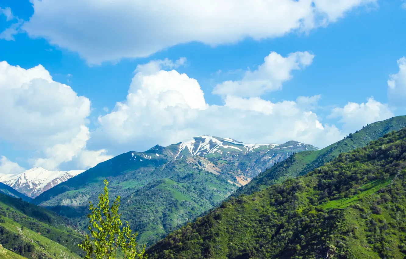 Photo wallpaper greens, the sky, clouds, snow, landscape, mountains, clouds, nature