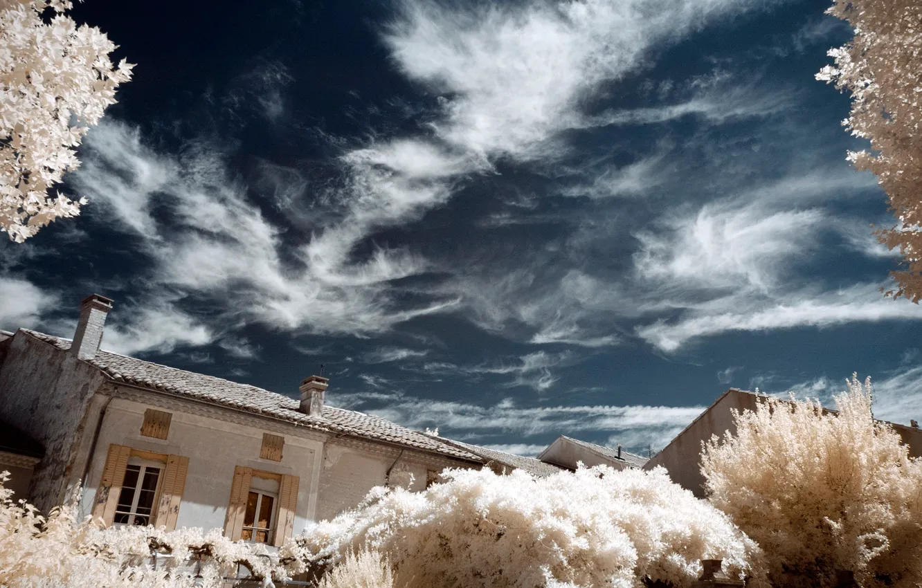 Photo wallpaper trees, house, France, infrared the, Tulet