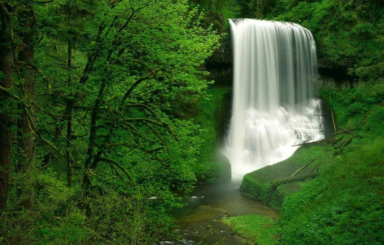 Photo wallpaper forest, waterfall, USA, USA, Oregon