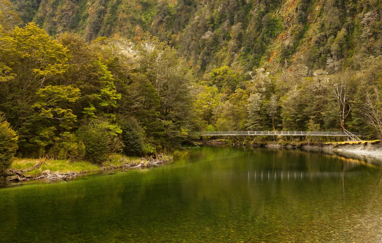 Photo wallpaper trees, mountains, bridge, river, New Zealand, Fiordland National Park, Clinton River