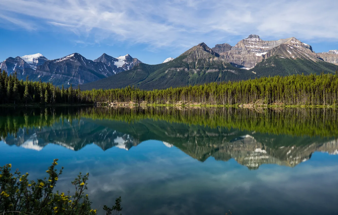 Photo wallpaper forest, mountains, lake, reflection, Canada, Albert, Banff National Park, Alberta