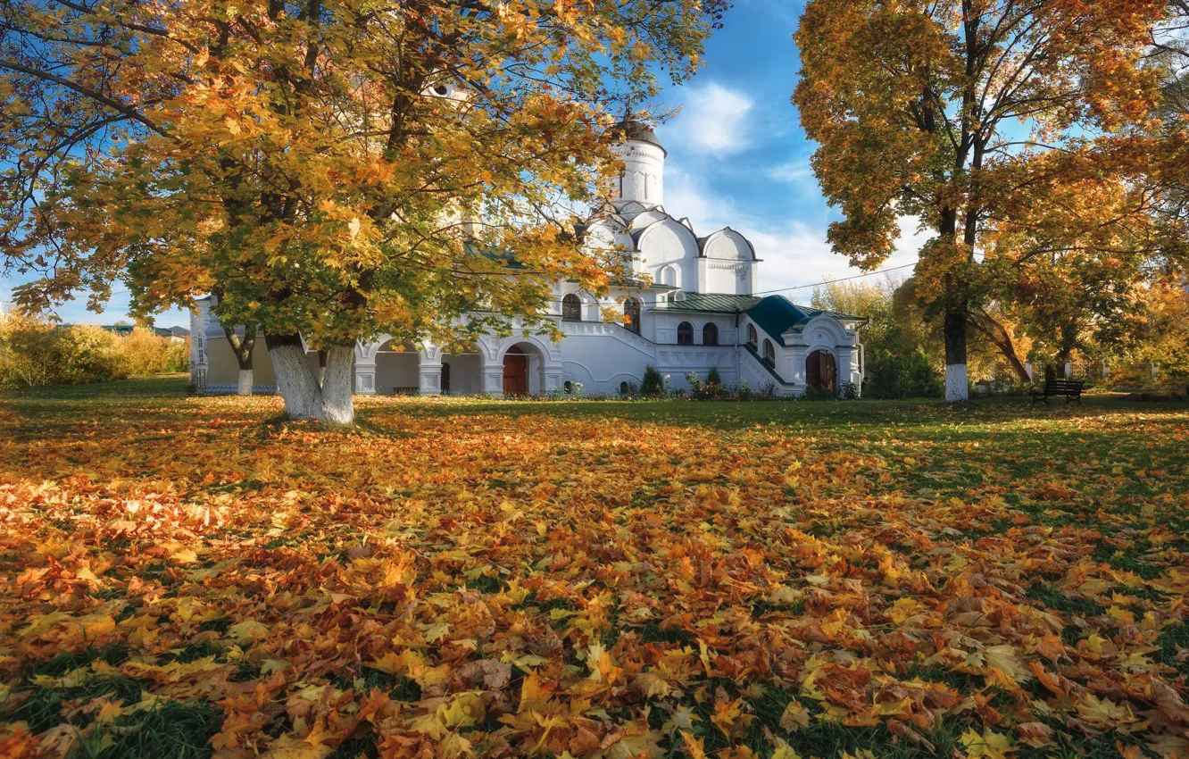 Photo wallpaper autumn, trees, landscape, Kirzhach, Annunciation Monastery