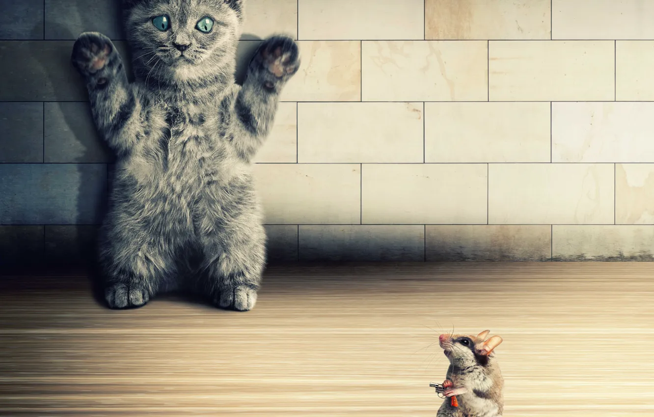 Photo wallpaper cat, kitty, gun, wall, mouse, hands up