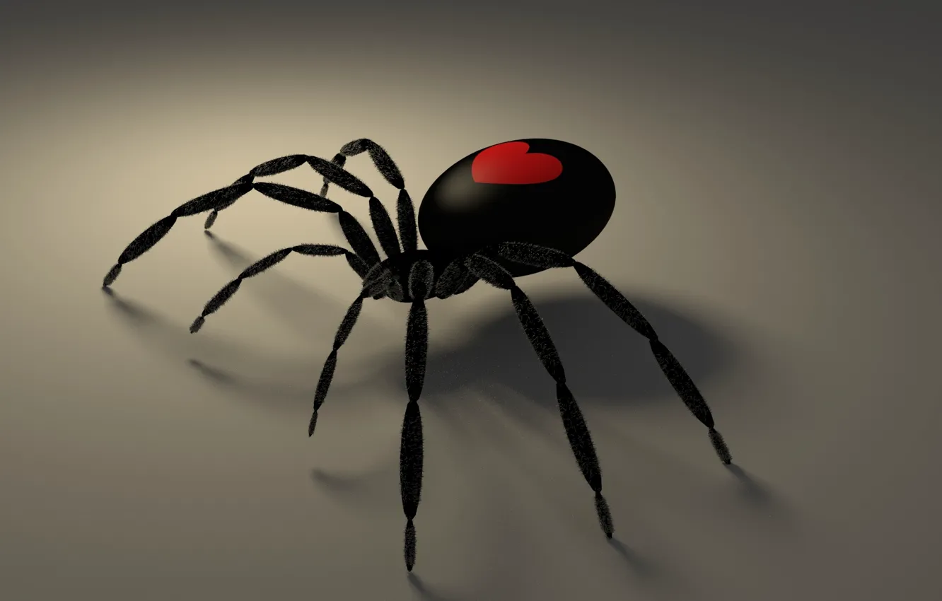Photo wallpaper Gothic, heart, shadow, spider, Valentine