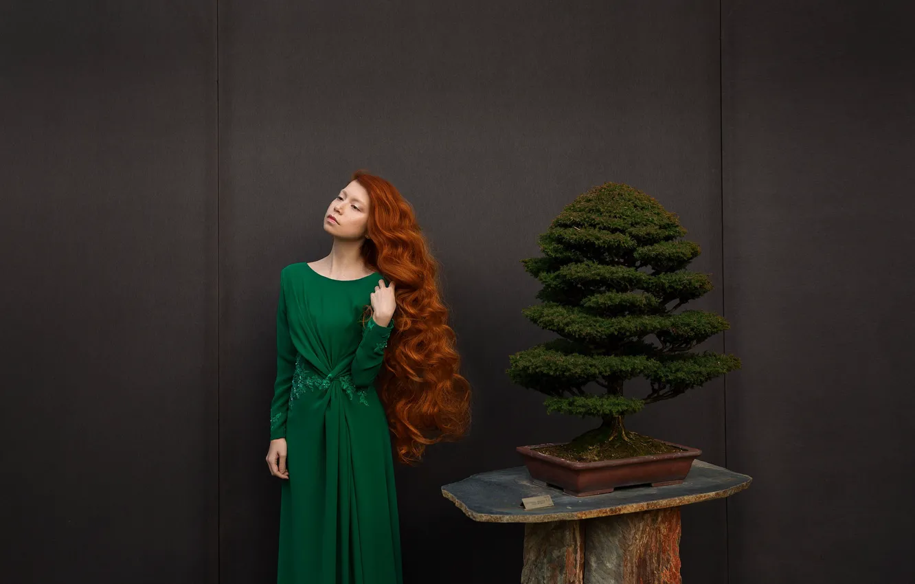 Photo wallpaper girl, trees, face, hair, bonsai, dress, red