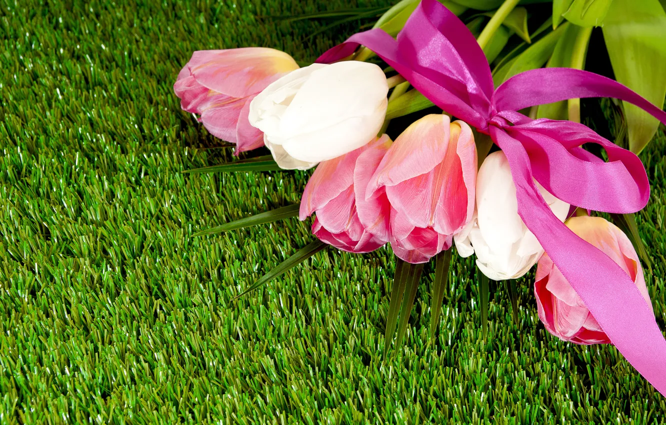 Photo wallpaper grass, lawn, bouquet, tape, tulips, bow