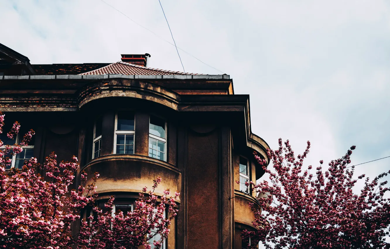 Photo wallpaper the sky, trees, home, window, Cornelia Pavlyshyn