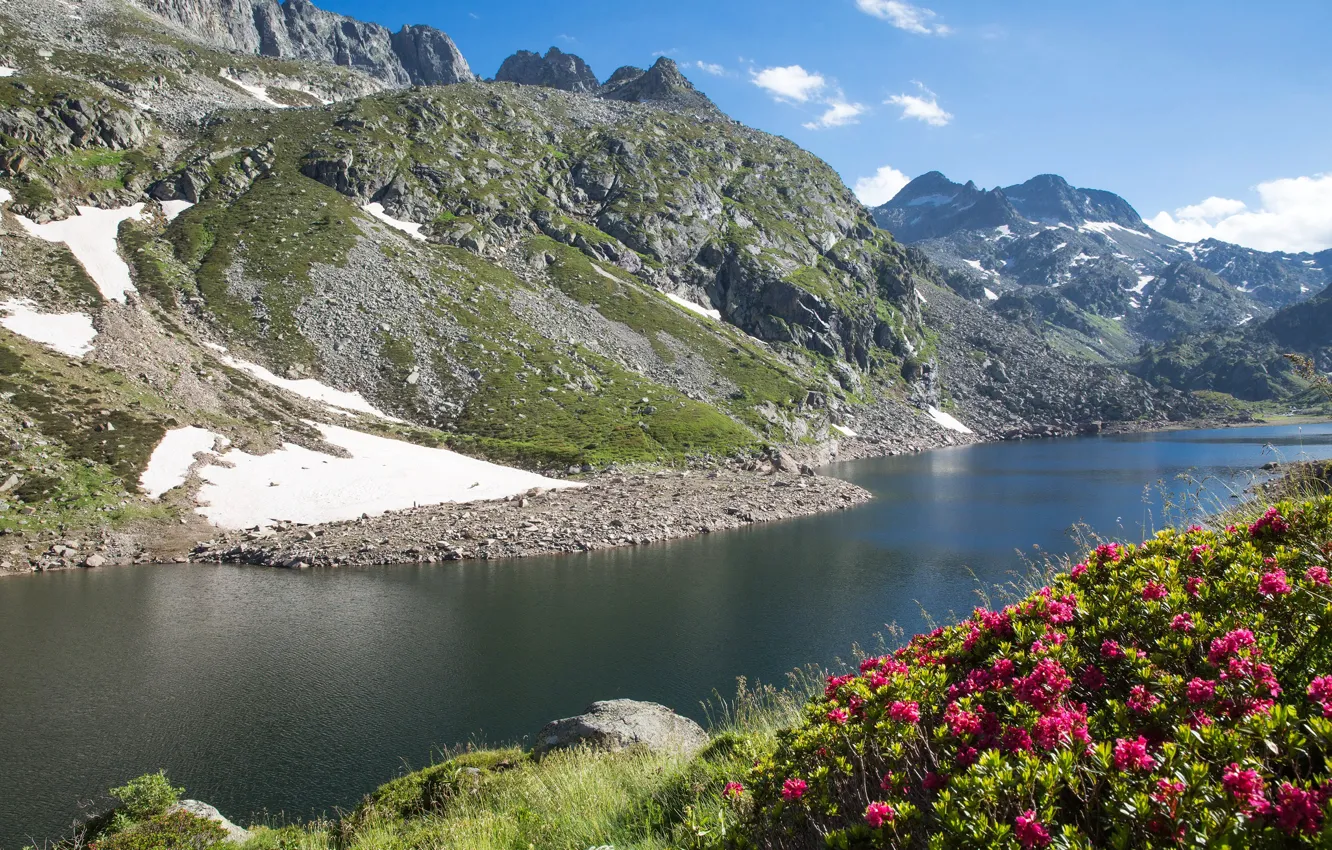 Photo wallpaper flowers, mountains, river, stones, France, Sunny, Midi-Pyrenees, rhododendrons