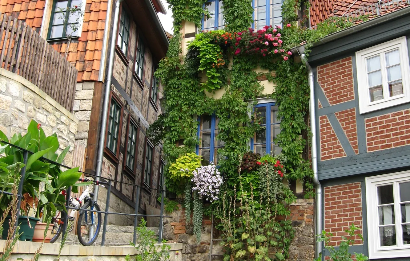 Photo wallpaper bike, city, the city, building, home, Germany, flowers, Germany