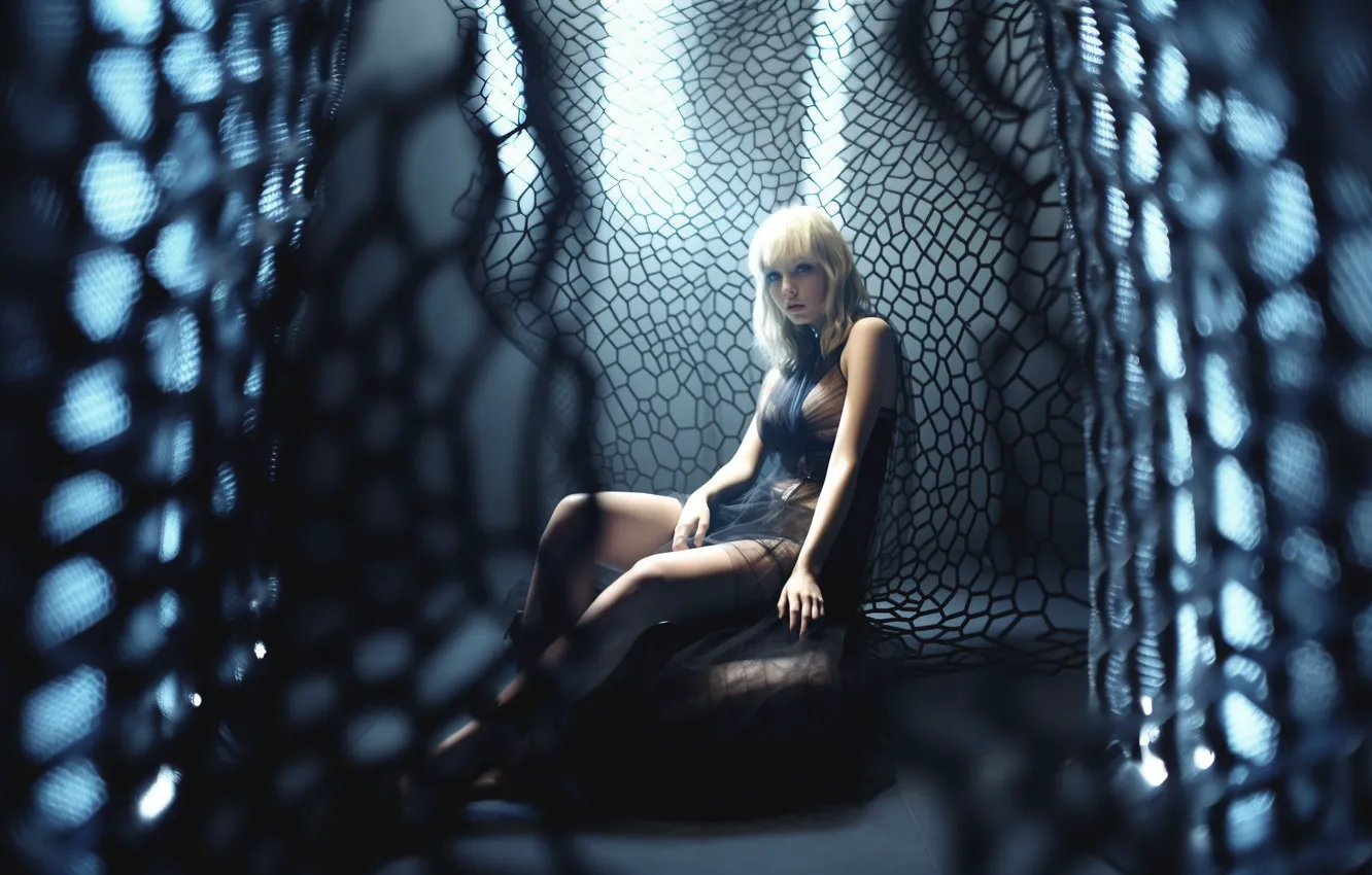 Photo wallpaper look, girl, light, pose, glare, network, dress, blonde