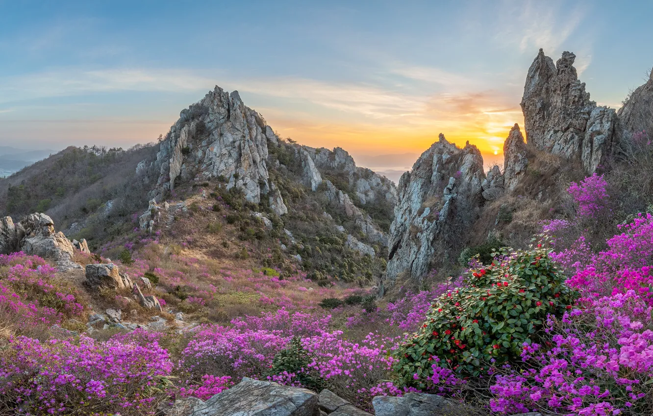 Photo wallpaper landscape, mountains, nature, stones, spring, flowering, South Korea