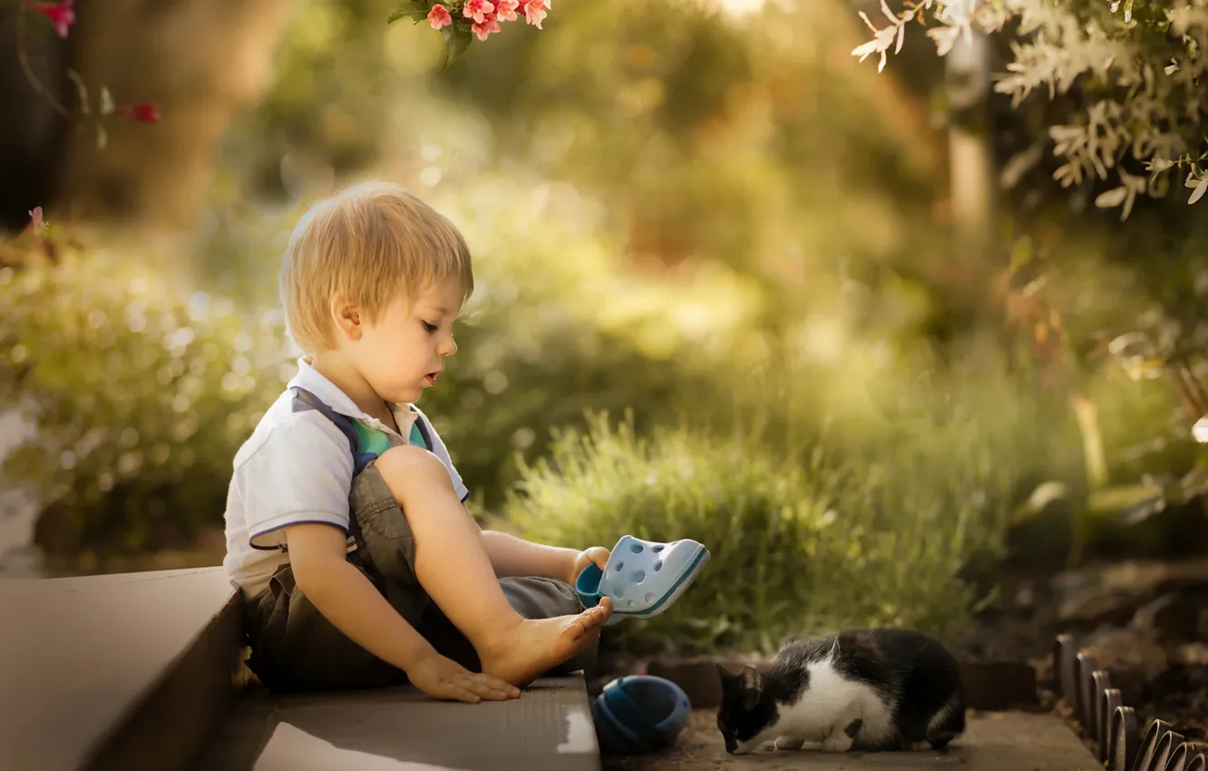 Photo wallpaper each, boy, kitty