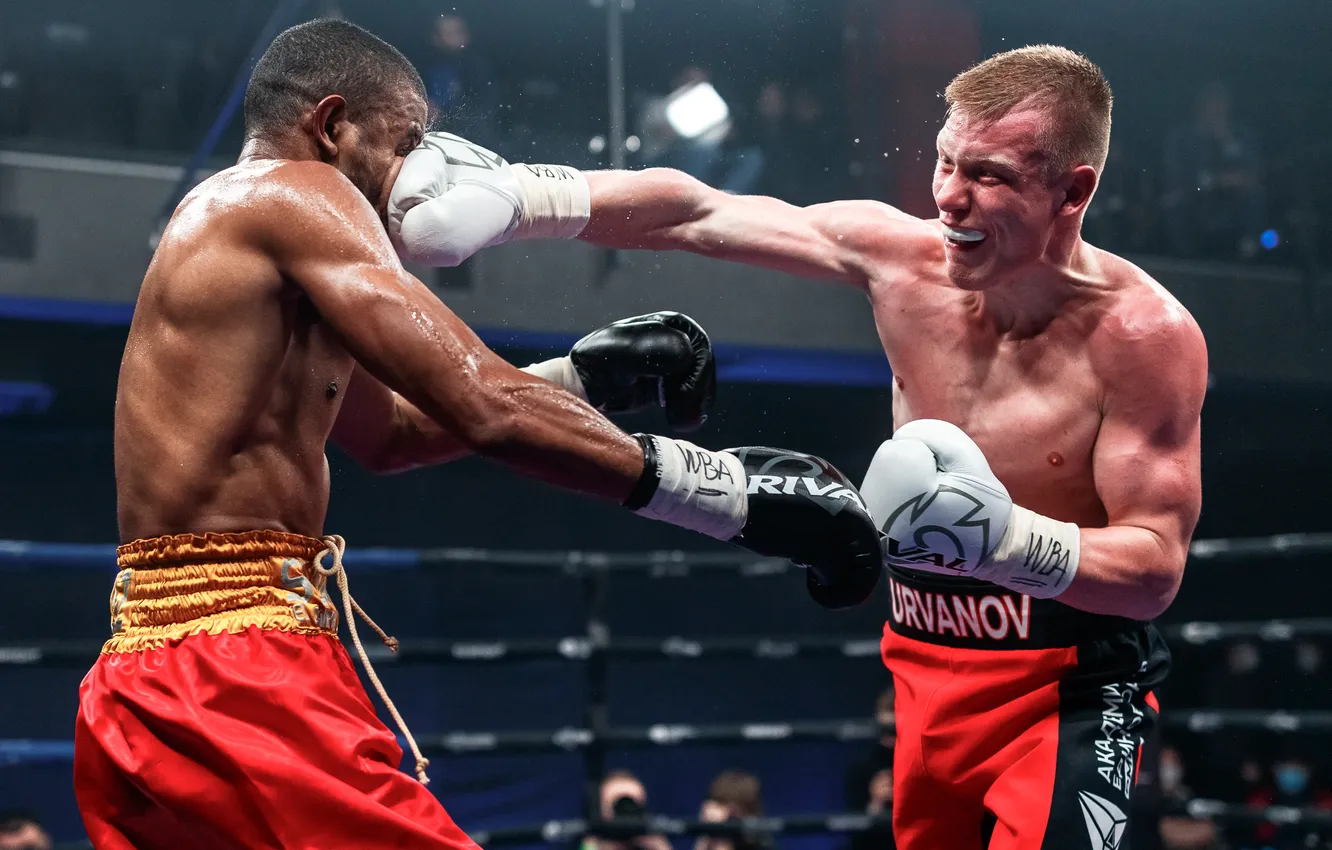Photo wallpaper Boxing, Mark Urvanov, Angel Rodriguez
