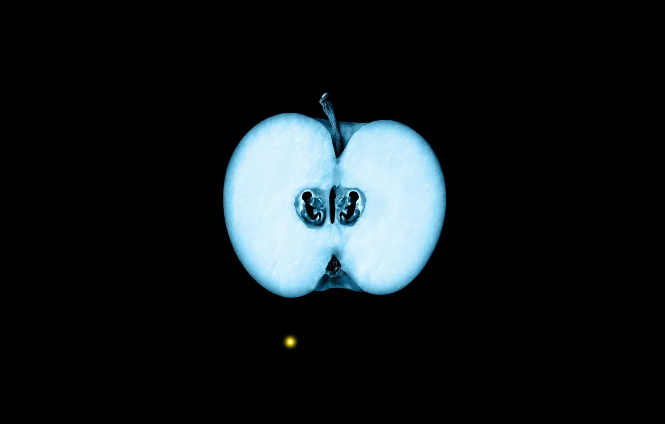 Photo wallpaper Apple, x-ray, fox, face, fringe, the germ, beyond