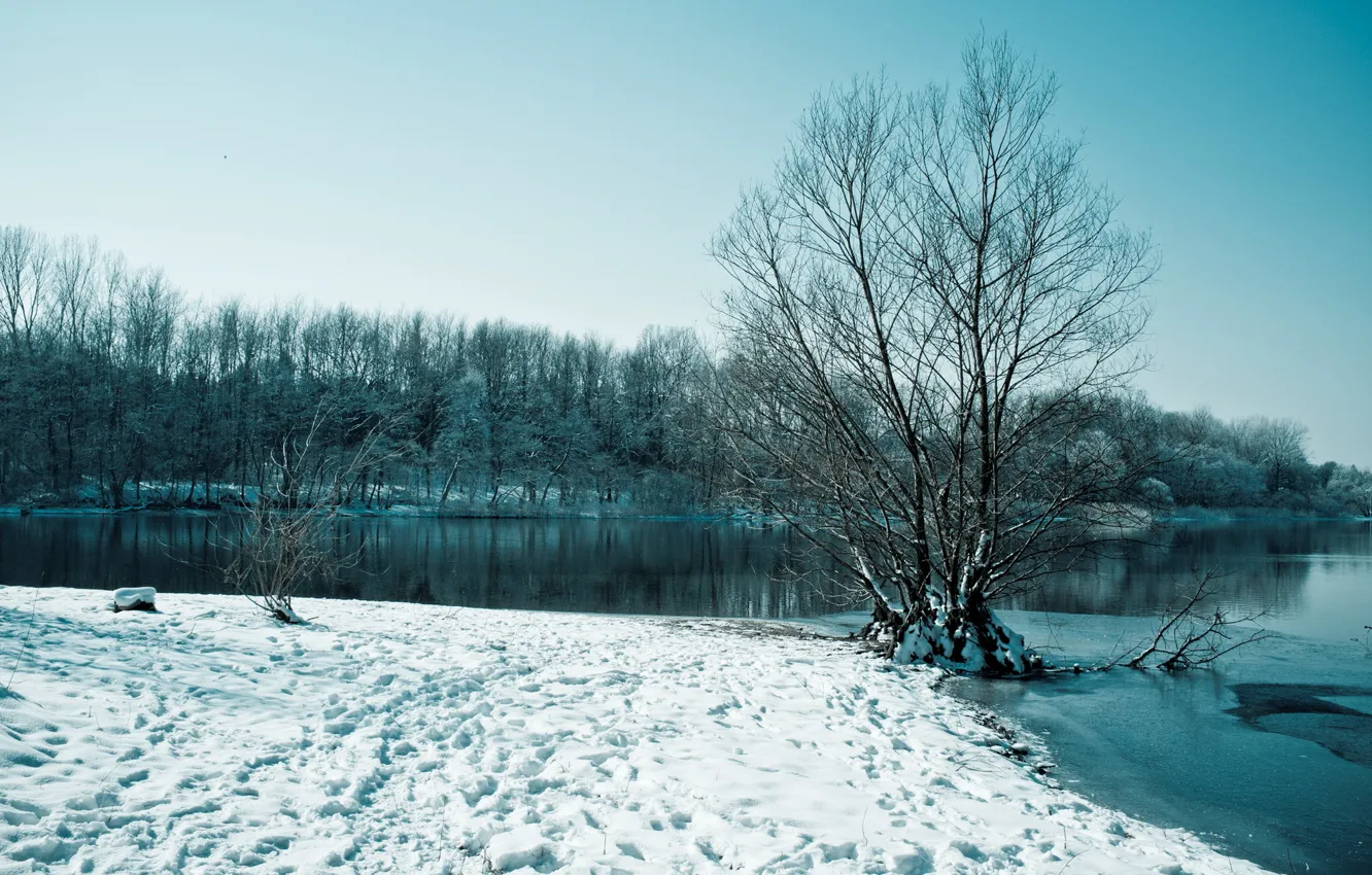 Photo wallpaper winter, snow, trees, lake