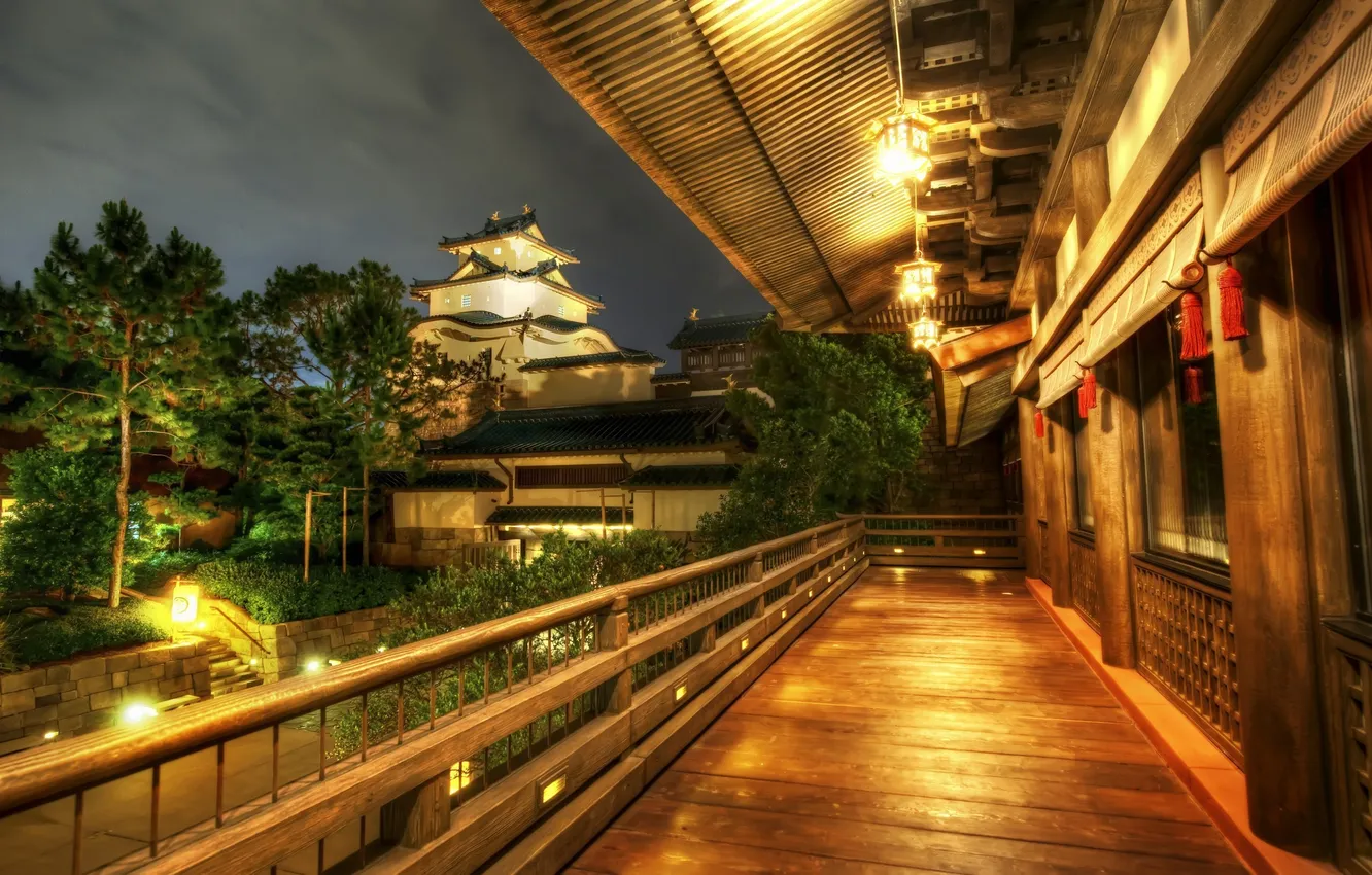 Photo wallpaper night, lights, Disney, Orlando, Florida