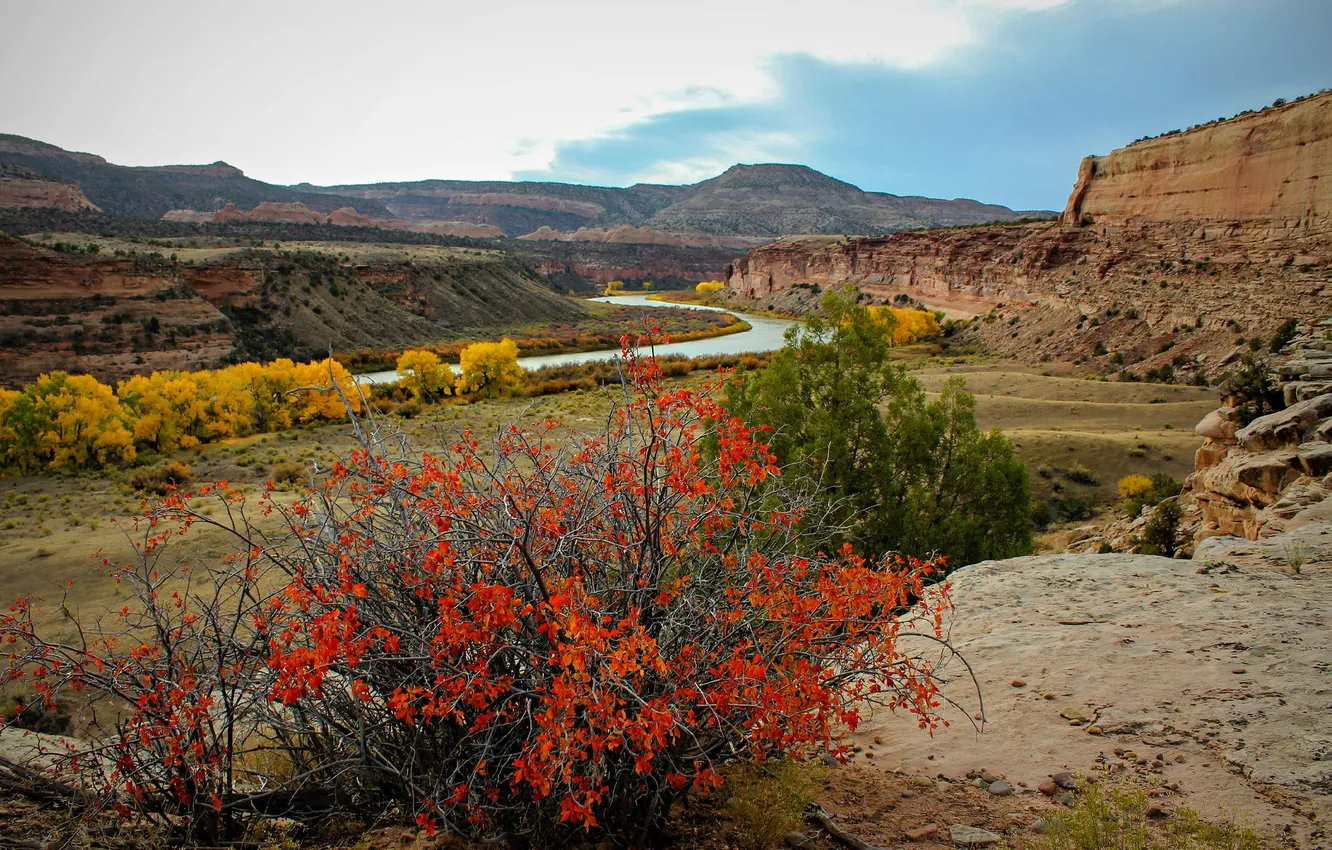 Photo wallpaper autumn, the sky, trees, mountains, river, valley, the bushes