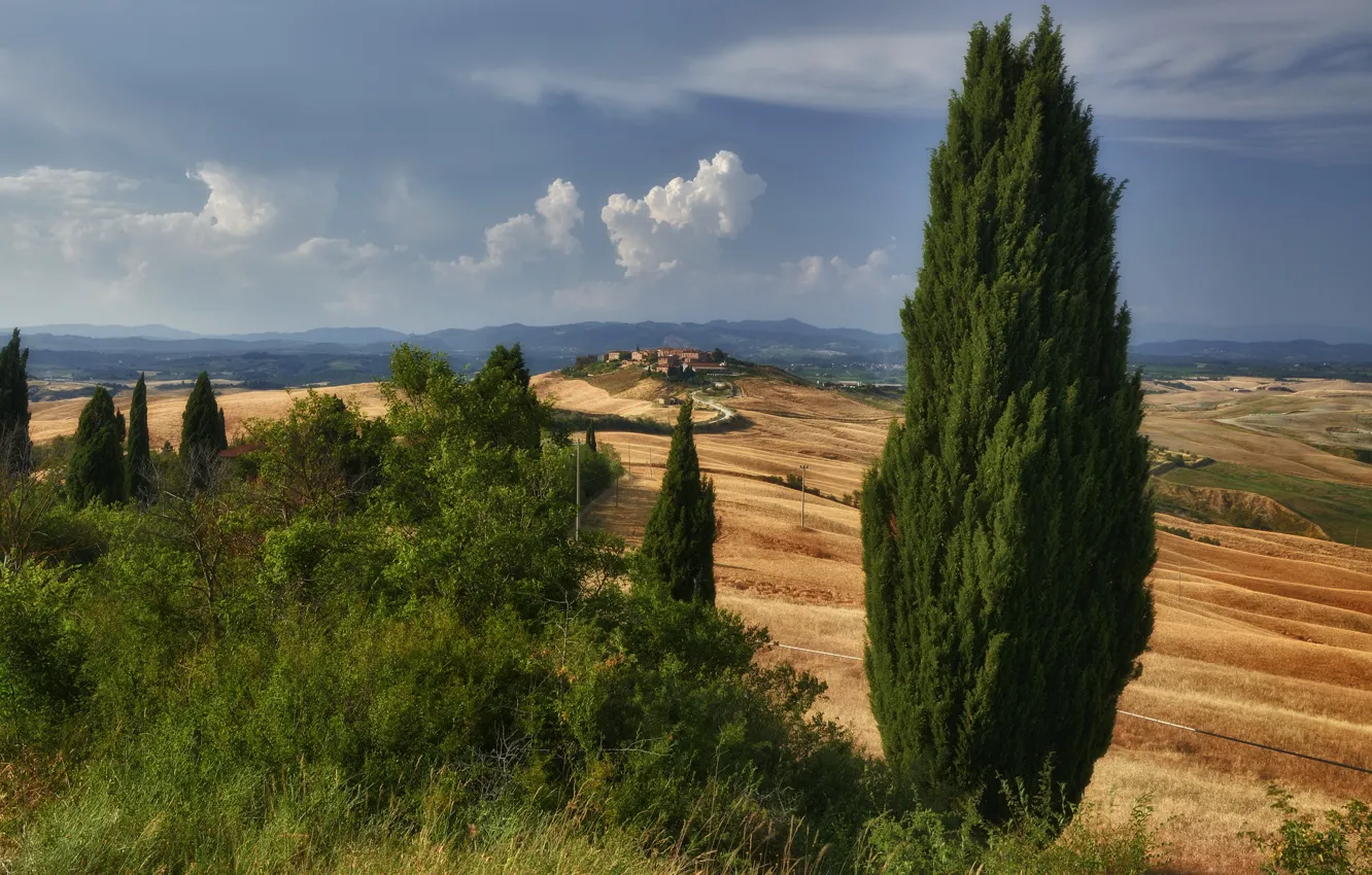 Photo wallpaper road, hills, home, Italy, Tuscany, cypress