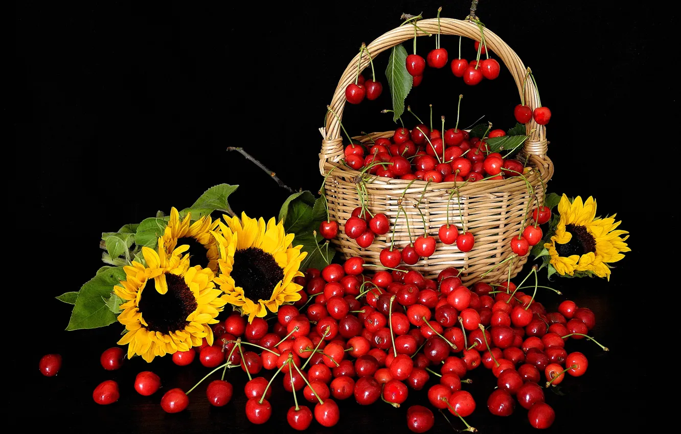 Photo wallpaper sunflowers, flowers, cherry, berries, petals, still life, basket, cherry