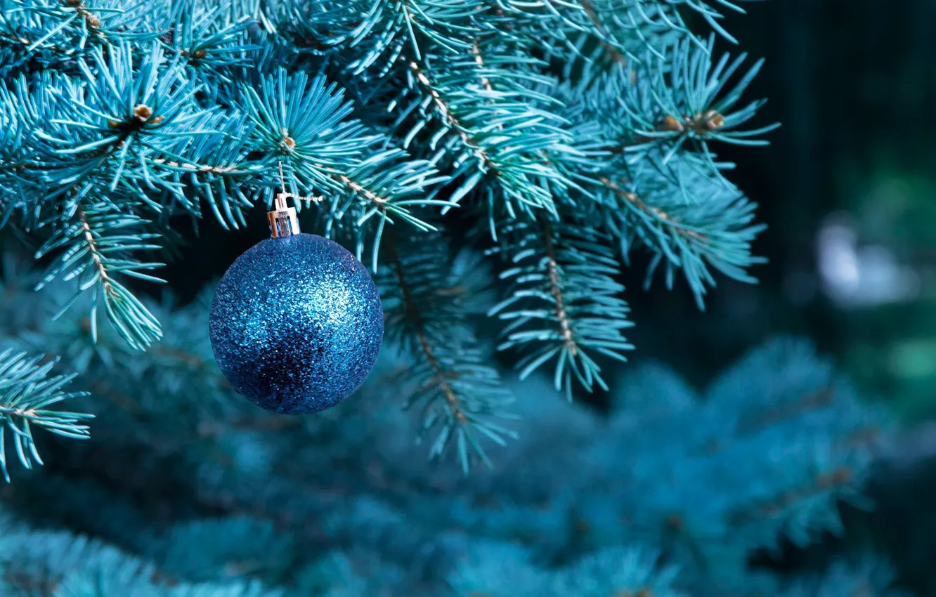 Photo wallpaper branches, blue, holiday, Shine, ball, spruce, ball, Christmas