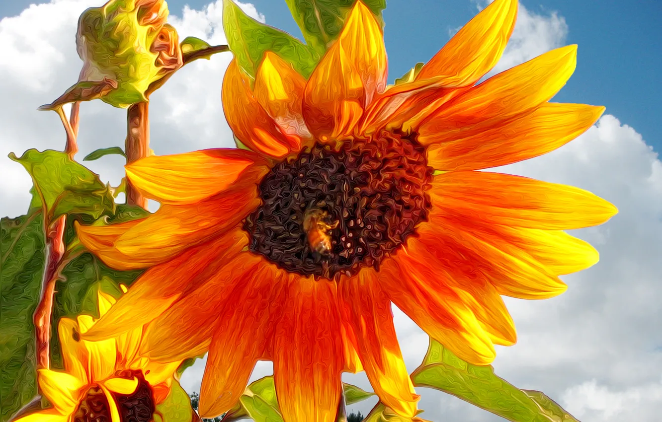 Photo wallpaper field, the sky, leaves, clouds, sunflowers, flowers, rendering, figure