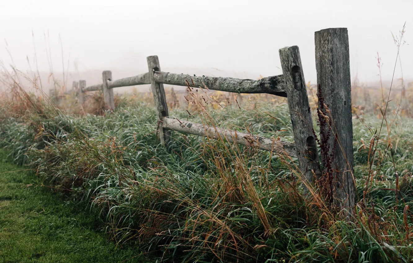 Photo wallpaper nature, fog, the fence