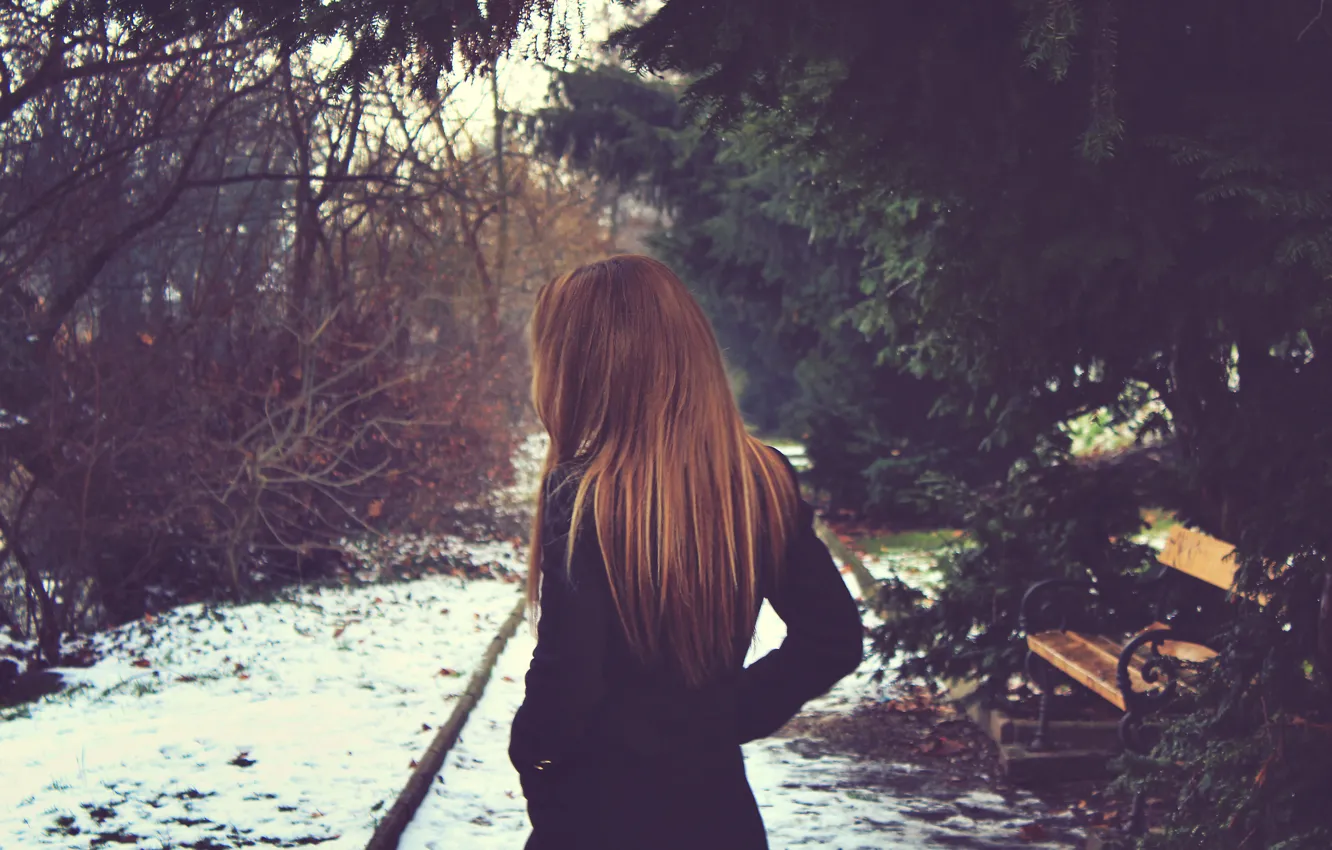 Photo wallpaper winter, girl, bench, hair