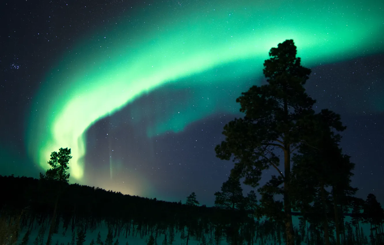 Photo wallpaper the sky, stars, snow, trees, night, Northern lights, Finland