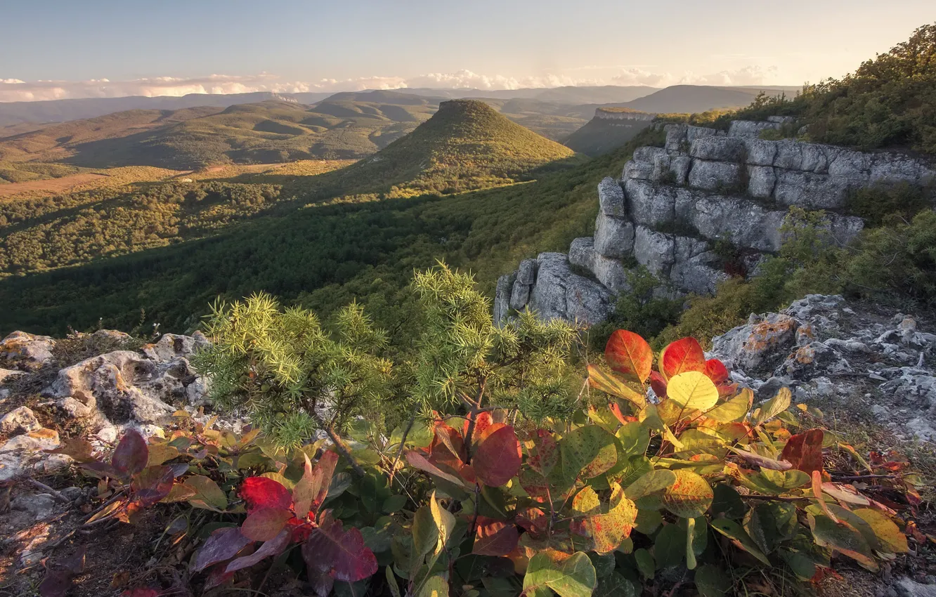 Photo wallpaper mountains, rocks, foliage, the bushes