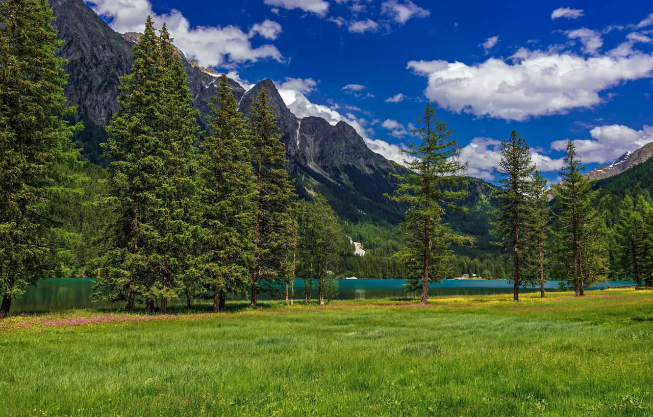 Photo wallpaper trees, mountains, lake, ate, Alps, Italy, lawn, Italy