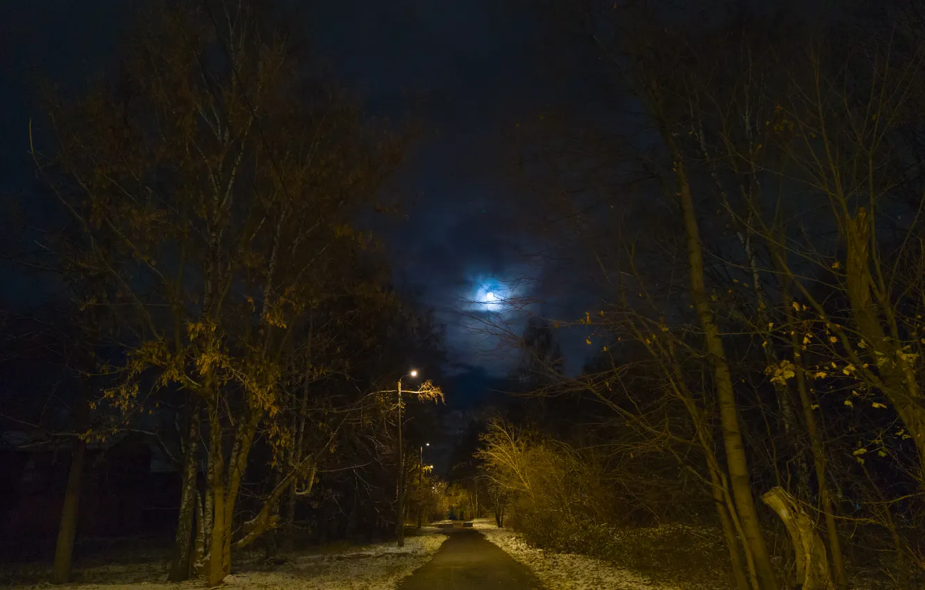 Photo wallpaper autumn, the sky, clouds, snow, trees, night, the moon, lights