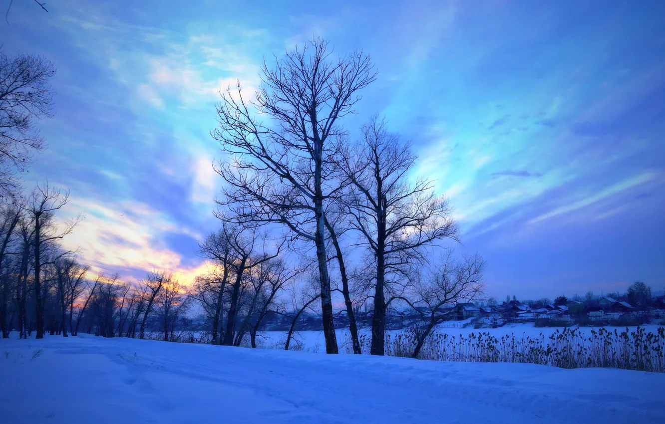 Photo wallpaper forest, the sky, the sun, trees, landscape, nature, stream, in the background