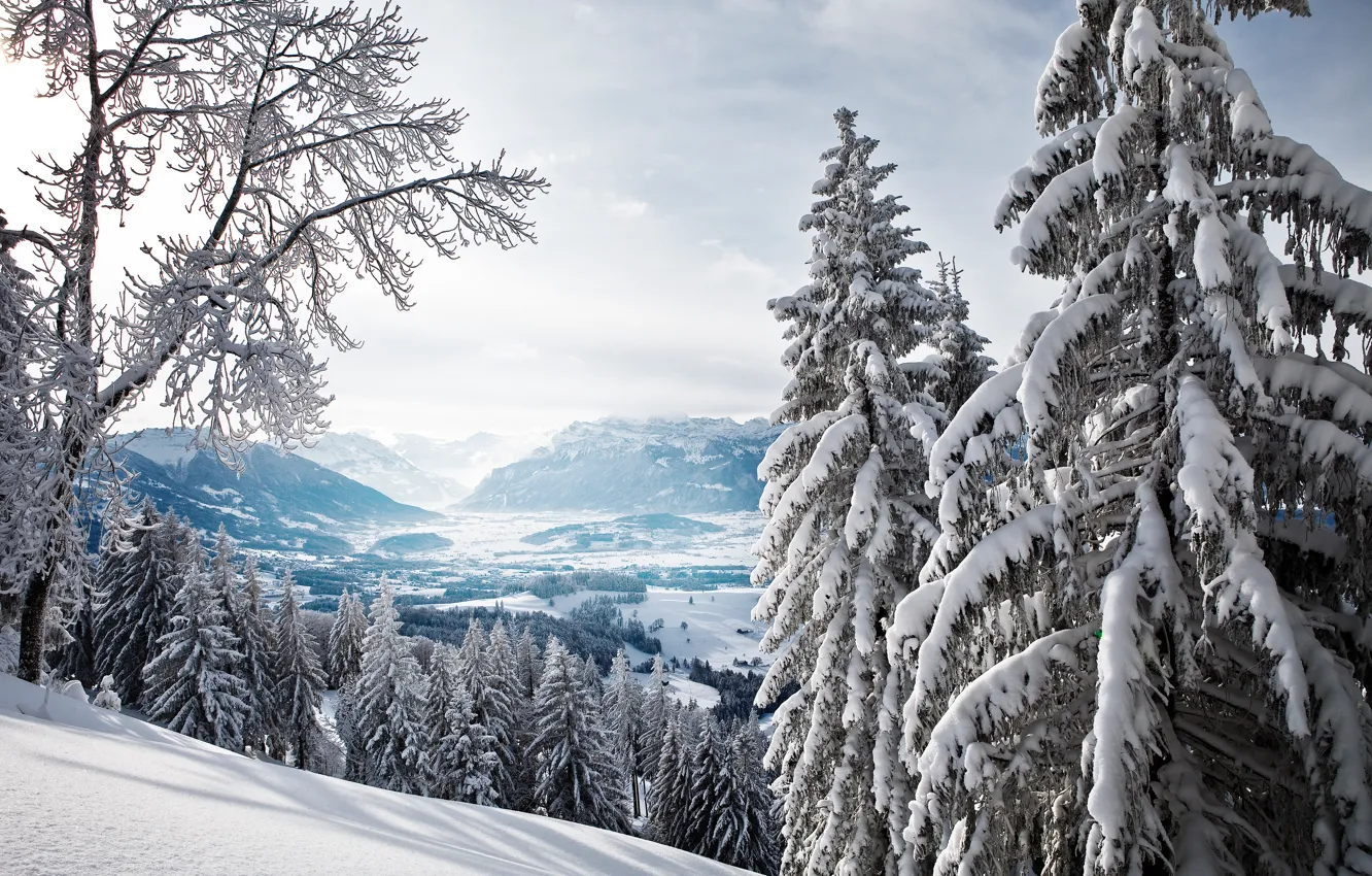 Photo wallpaper winter, forest, mountains, ate, valley