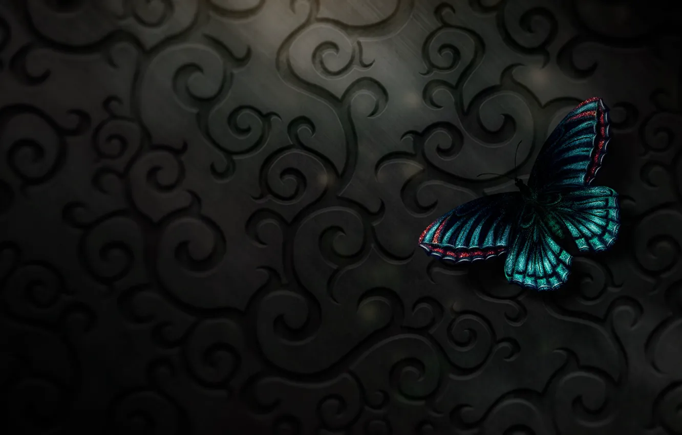 Photo wallpaper butterfly, digital, art, butterfly, texure