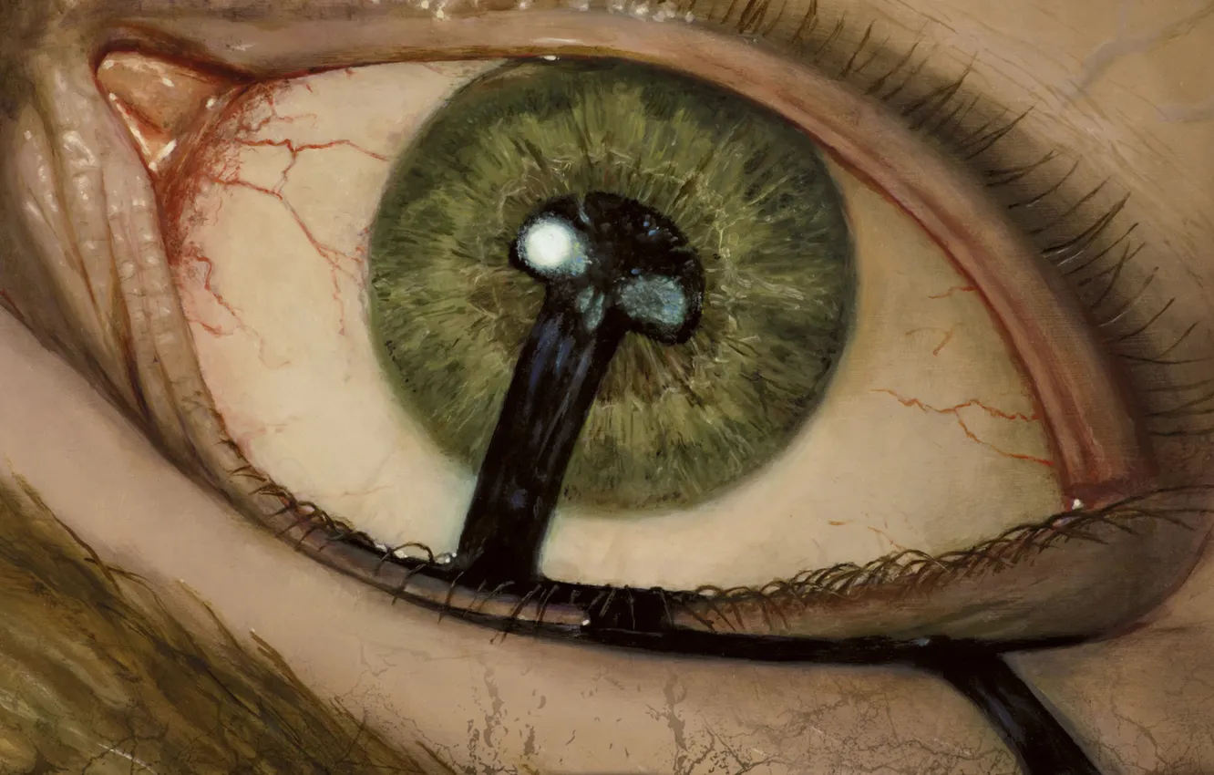 Photo wallpaper eyes, death, skull, Magic The Gathering, MTG, label, Deathmark